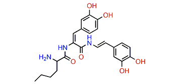 Tunichrome Mm 2